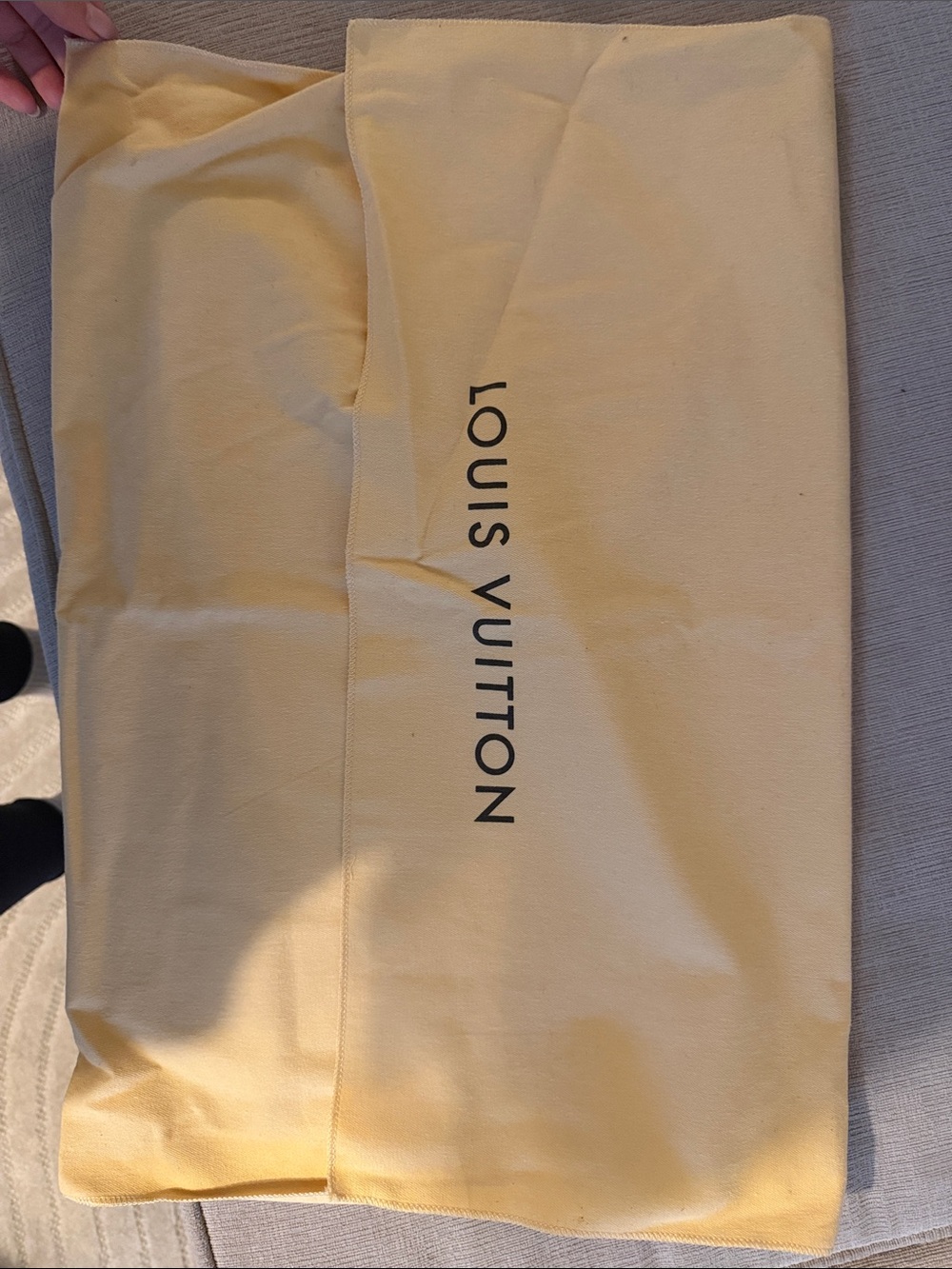 Louis Vuitton dust bag large